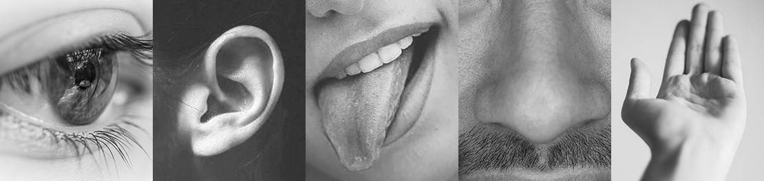 fives senses